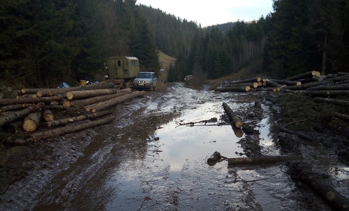 «Нема на них ніякої управи»: лісники Славської ОТГ вирубують дерева, знищуючи дороги і річки (ВІДЕО)