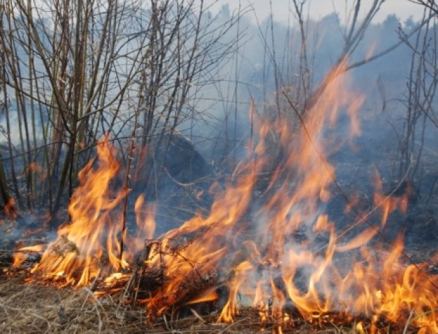 Перечепилася за гілку і впала у палаючу траву: на Сокальщині згоріла пенсіонерка