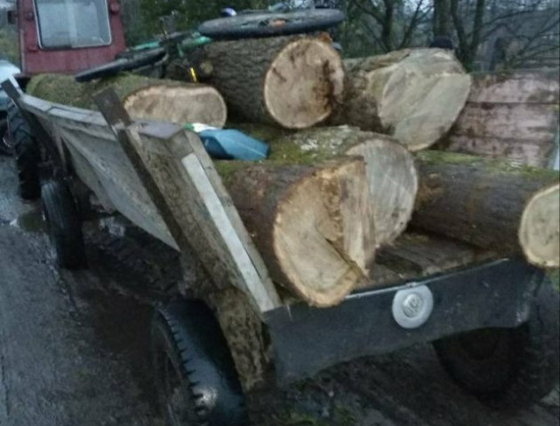 Колесо вистрілило: на Сокальщині чоловік загинув під возом, повним деревини