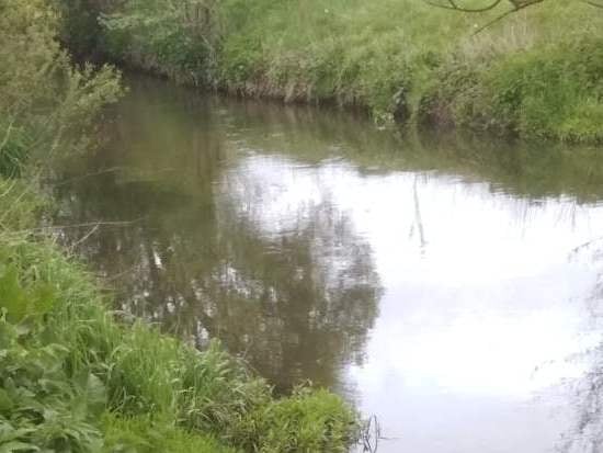 «Один чобіт на березі, а інший – весь у болоті»: на Яворівщині в річці знайшли мертву жінку