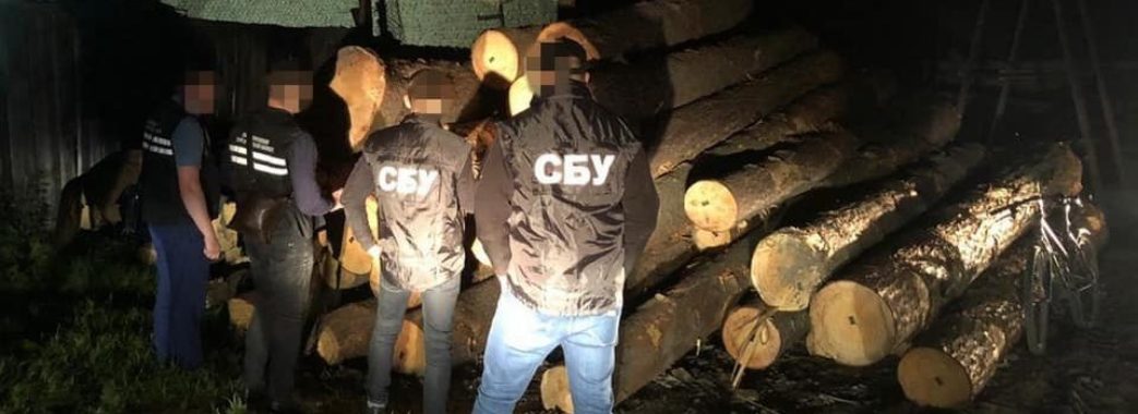 На хабарі затримали головного інженера військового лісгоспу на Львівщині