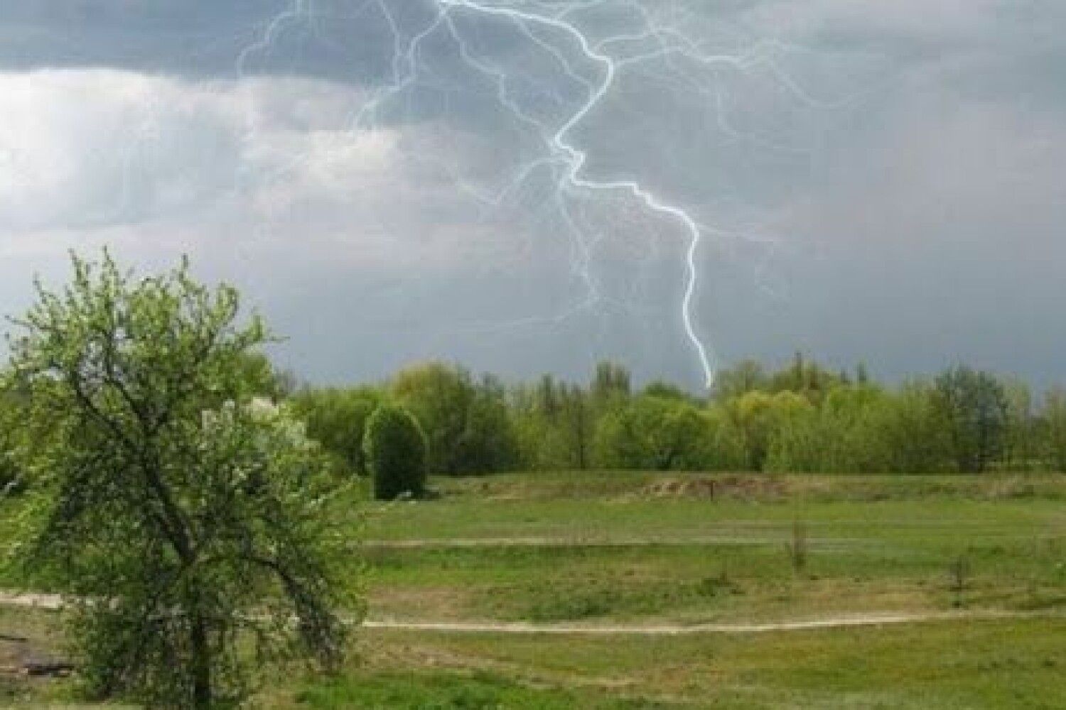 «Це була мамина права рука»: у селі на Бродівщині розповіли про хлопчика, який загинув від блискавки