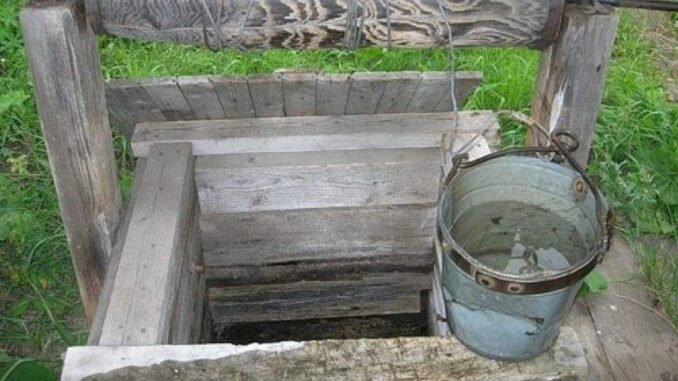 Була єдиною донькою у батьків: на Бущині в колодязі втопилася 32-річна жінка