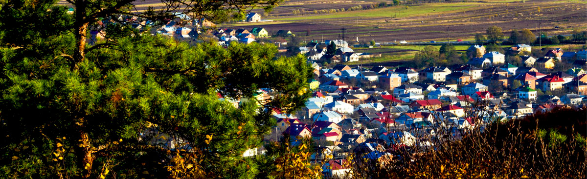 Мешканці Винників звернулися по допомогу до послів європейських країн