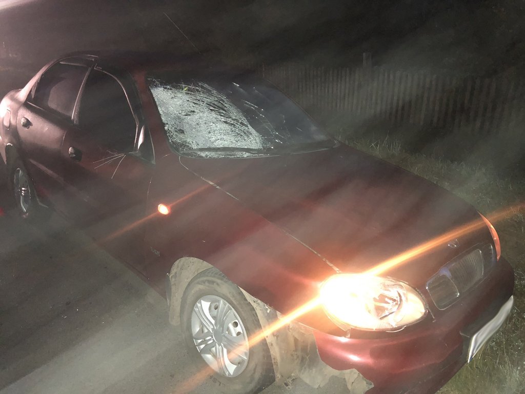 «У цю ніч був сильний туман»: на Сокальщині 20-річний чоловік загинув під колесами автівки