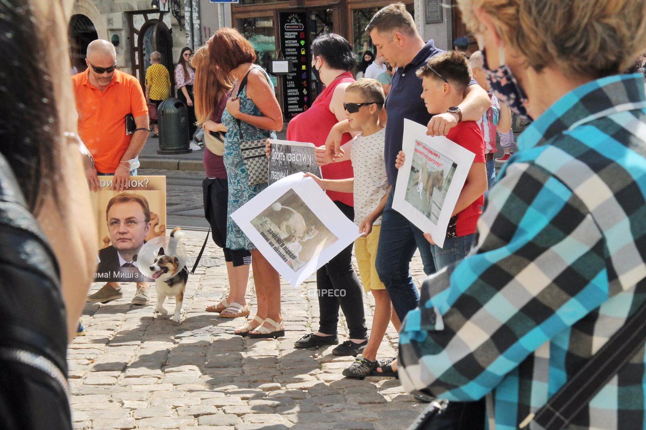 “Влада тягне час”: зоозахисники Львова вчергове вимагали створити у місті притулок для тварин