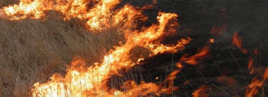 “Сусідів закликаємо дзвонити у поліцію”: за добу на Львівщині погасили три пожежі сухостою