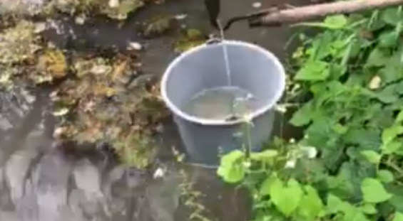 Нестерпний сморід: свиноферма на Жовківщині злила у річку свої відходи (Відео)