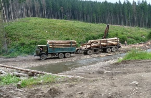Взятий на хабарі у січні керівник “Галсільлісу” уже  виконує професійні обов’язки