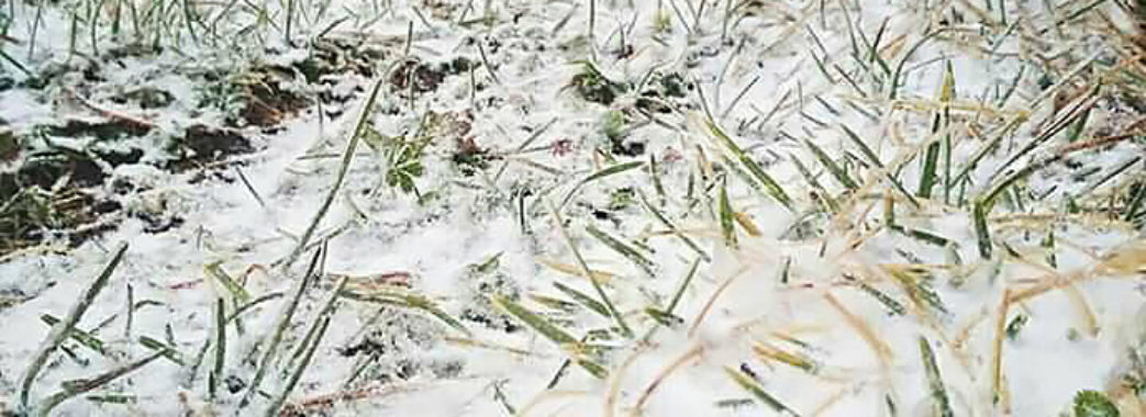 У Карпатах випав перший сніг