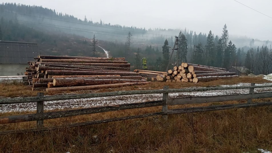 «То наше здоров’я та наші легені»: на Сколівщині люди виступили проти вирубки лісу (Відео)