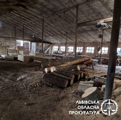 Підлеглі депутата «Слуги народу» завдали збитків державі на 2.6 мільйона гривень(ФОТО)