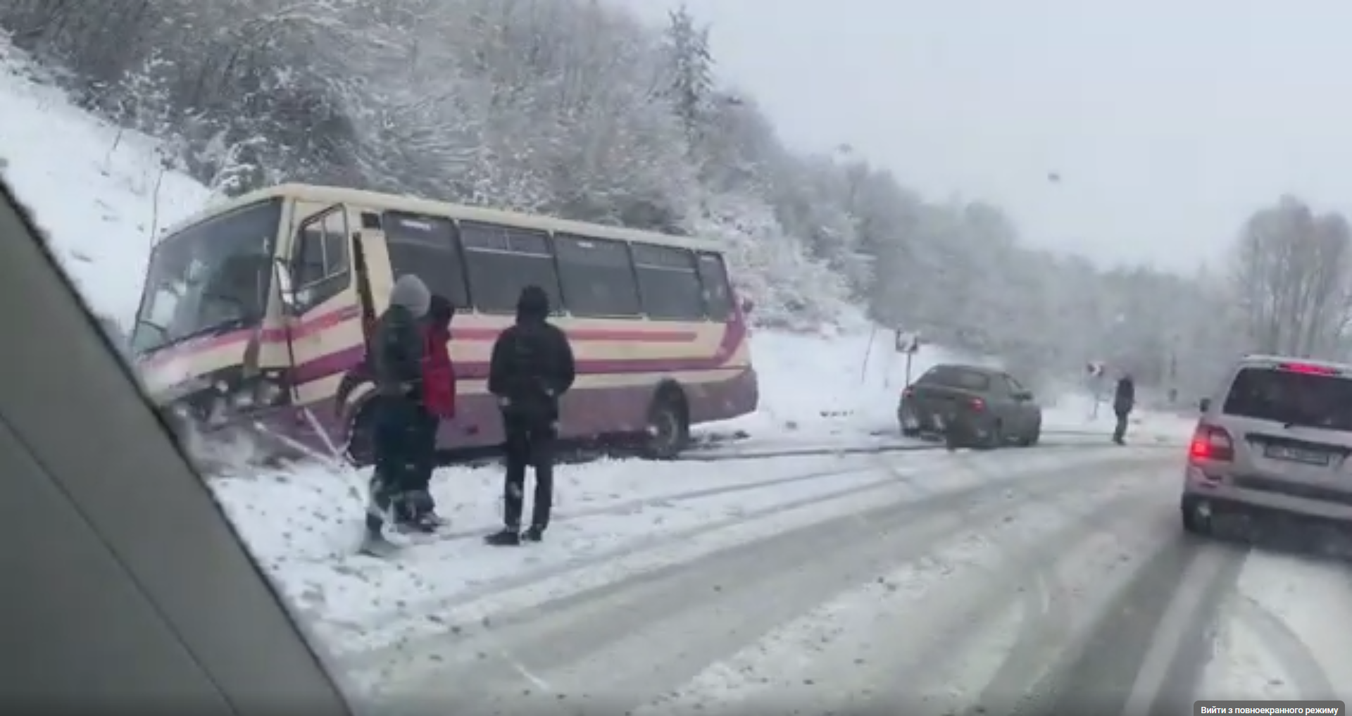 На Самбірщині маршрутка з пасажирами злетіла з дороги (Відео)
