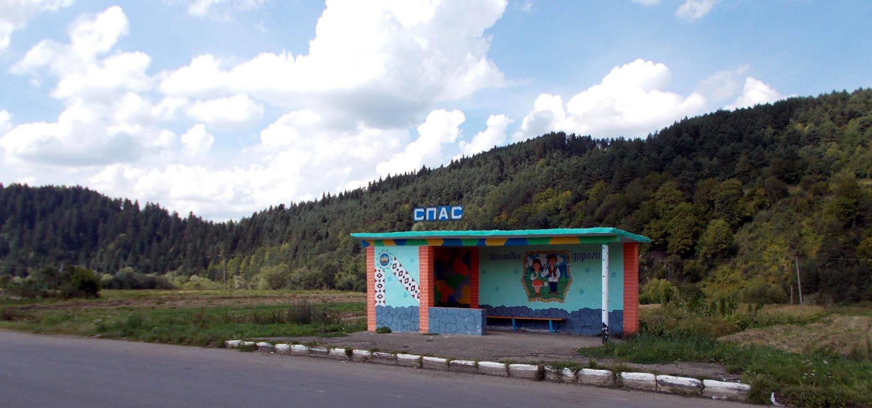 Село на Старосамбірщині вирішило заборонити будь-які рубки лісу