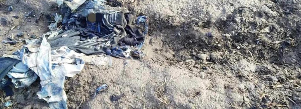 На Золочівщині знайшли тіло чоловіка, останки якого до села принесли собаки