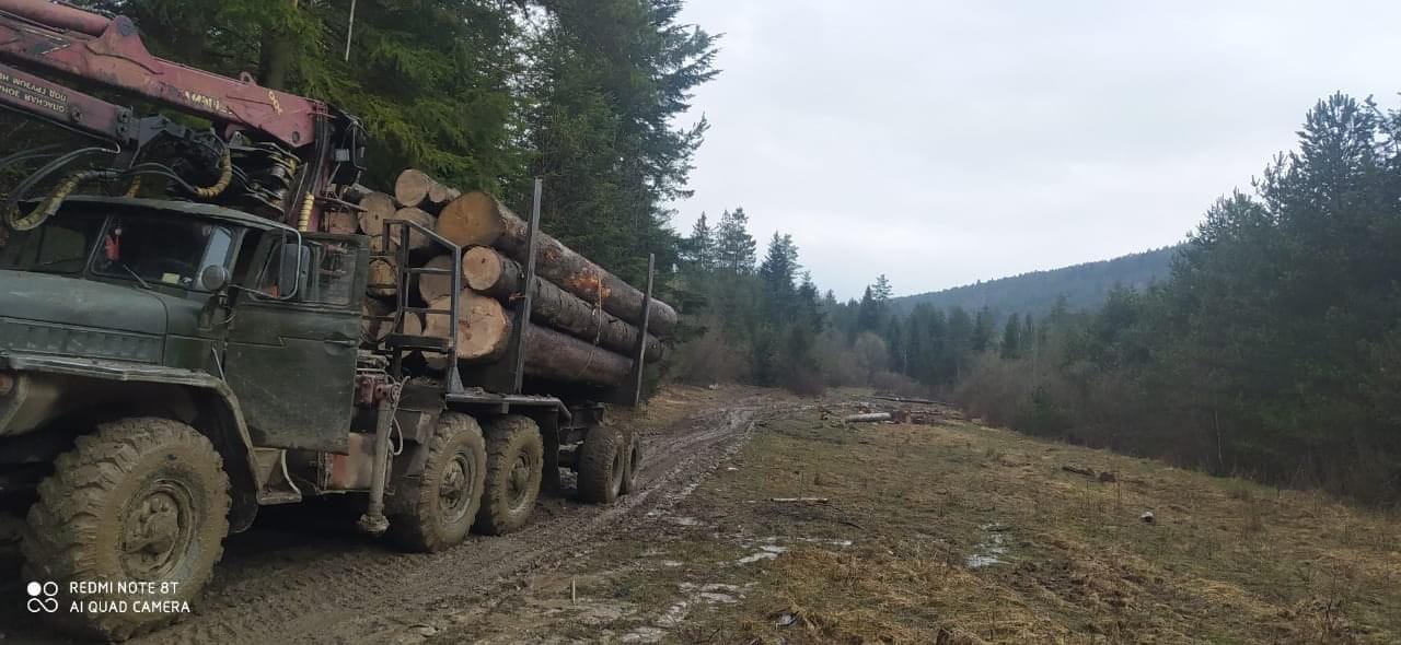 На Старосамбірщині на гарячому зловили лісничого Фурдичка, – охоронна фірма