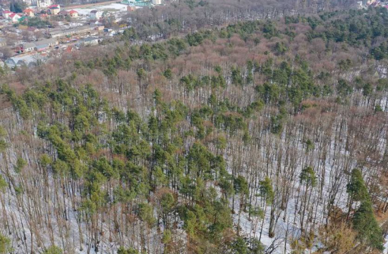 Резидент Кіпру, що працював на нардепа з БПП, продає 5 гектарів у Брюховичах