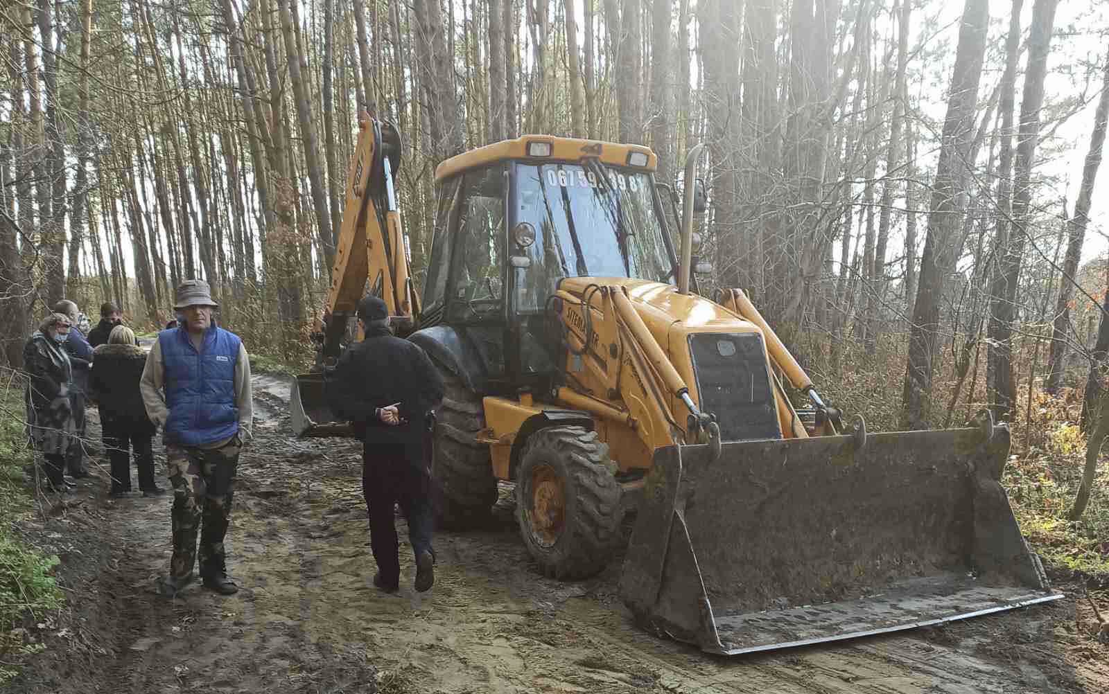 «Буду робити, що хочу»: поблизу Львова ліс без відома громади опинився у довготривалій оренді