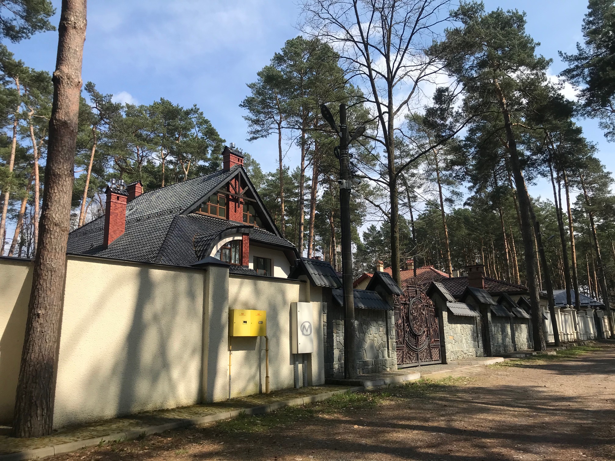 Махінації з брюховицьким лісом: хто поділив 18 гектарів зелених насаджень
