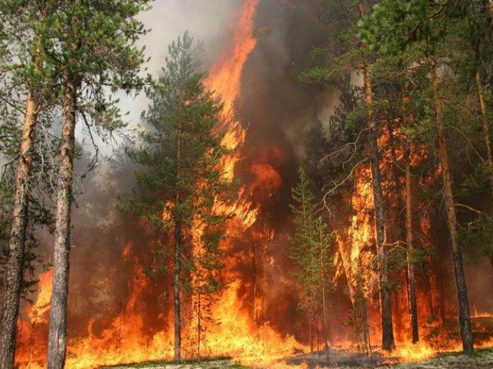 Мешканців Львівщини застерігають про високу пожежну небезпеку