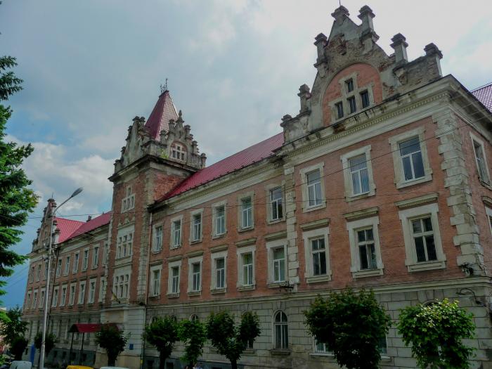 Самбірчанина, який збив чоловіка на смерть і втік, звільнили від відбування покарання