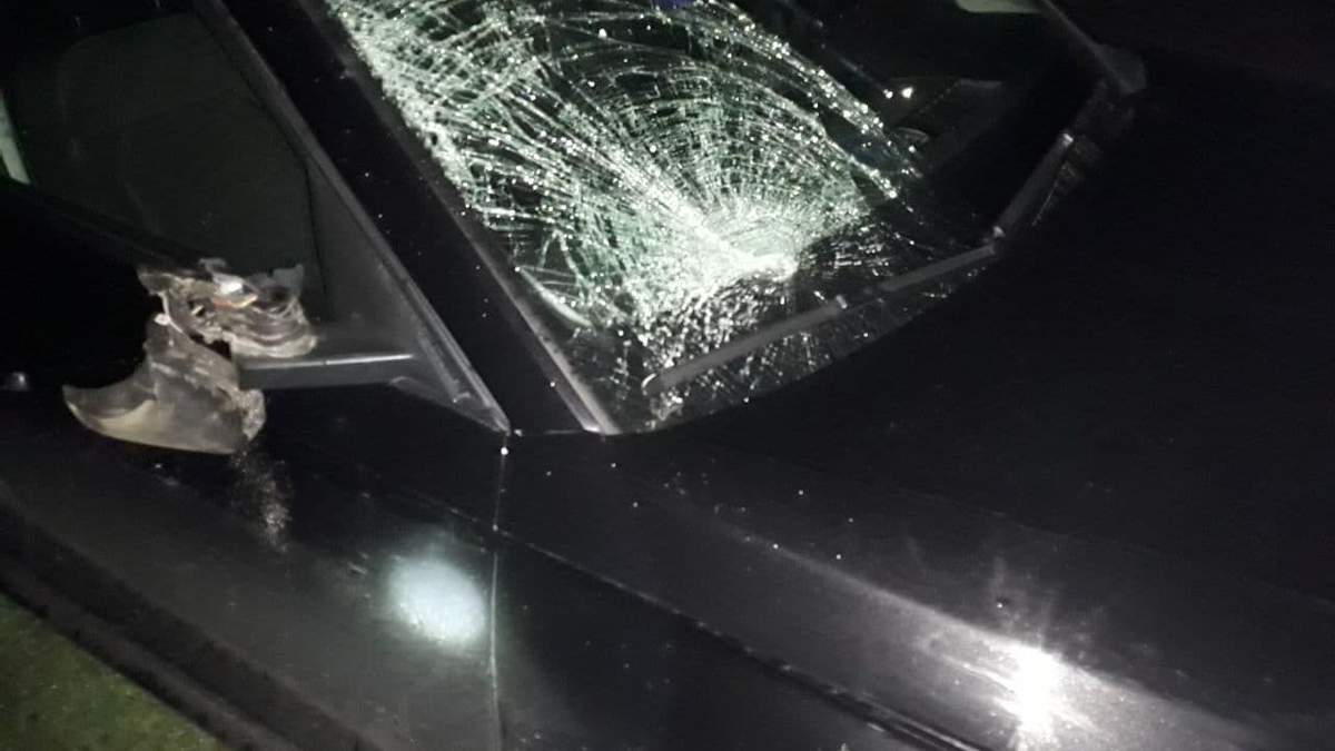 «Водій одразу викликав «швидку», поліцію»: на Золочівщині під колесами іномарки загинув 35-річний пішохід