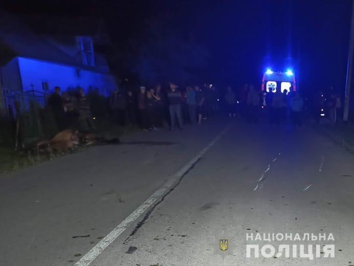 Загинув і кінь, і мотоцикліст: на Турківщині смертельна аварія за участі підводи