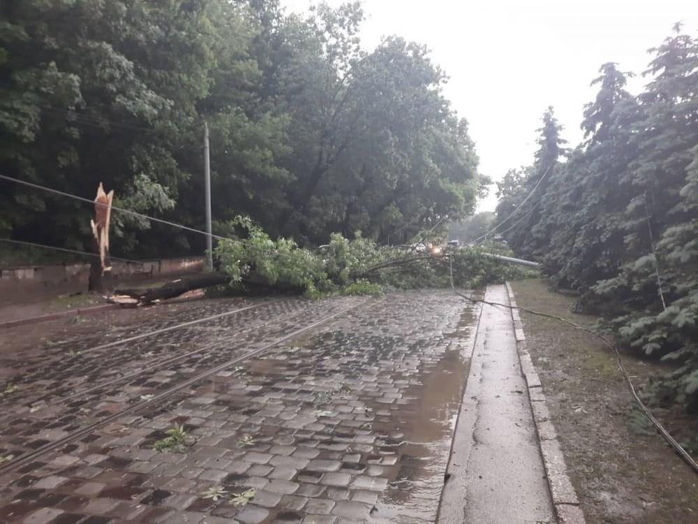 Повалено 206 дерев та пошкоджено 18 атомобілів: наслідки негоди