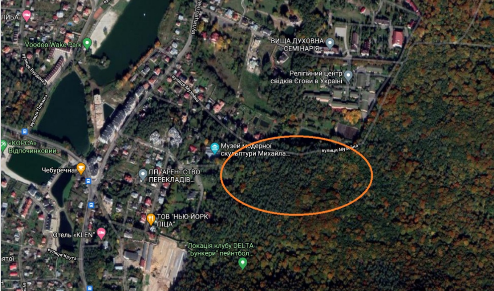 Незаконно приватизованими ділянками Брюховицького лісу заволоділа родина підсанкційного львівського митника