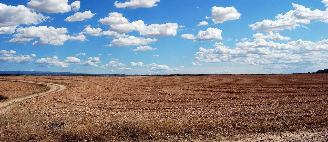 Від сьогодні в Україні розпочався продаж сільськогосподарської землі