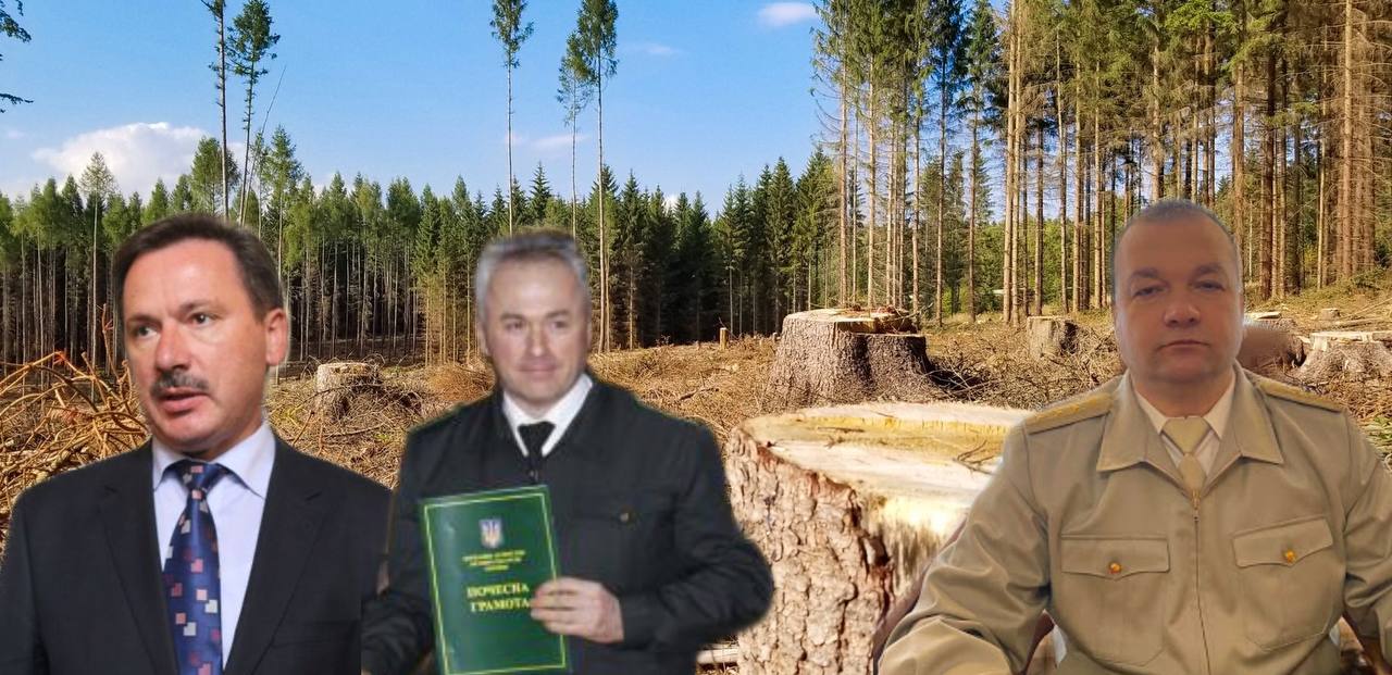 Соціальні виплати та бізнесові дружини: на що живуть керівники лісгоспів Львівщини