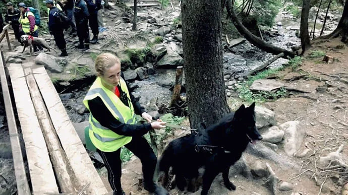 Відстав від групи: у Карпатах шукають шестирічного хлопчика