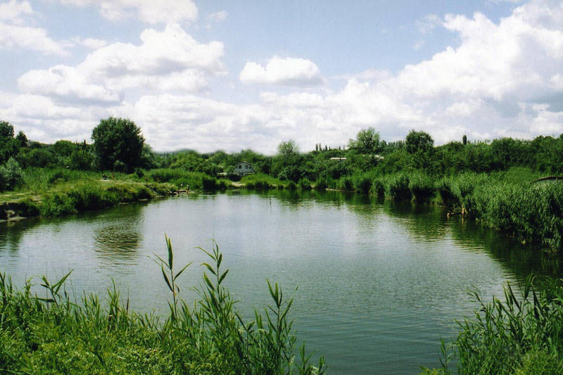 Двоє потопельників за два дні: на Золочівщині у воді загинули молоді чоловіки