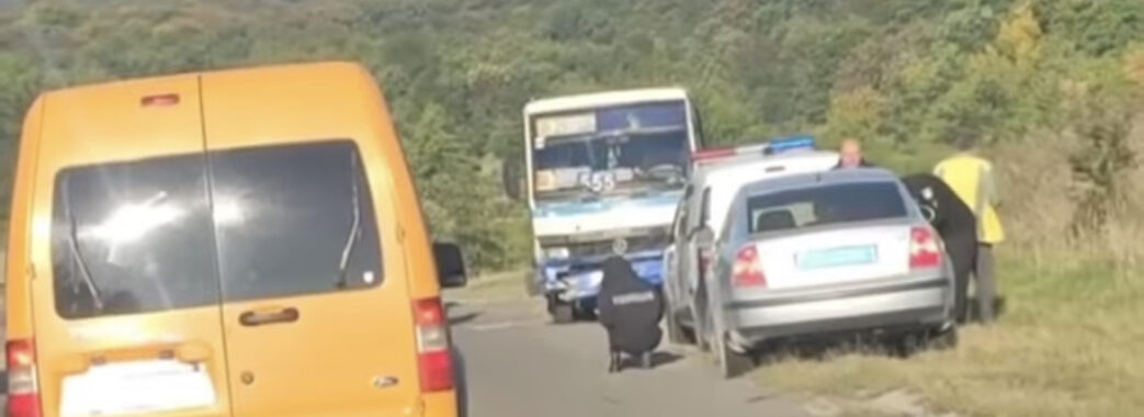 На Миколаївщині рейсовий автобус збив корову