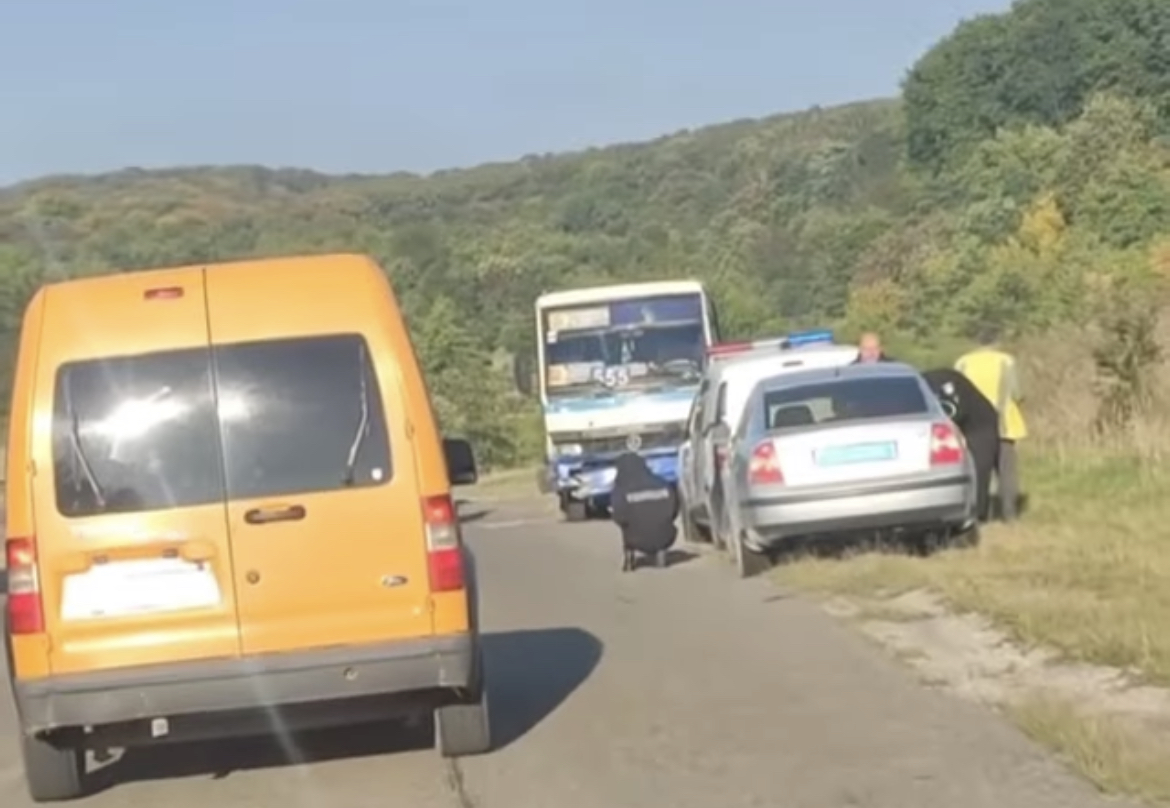 На Миколаївщині рейсовий автобус збив корову