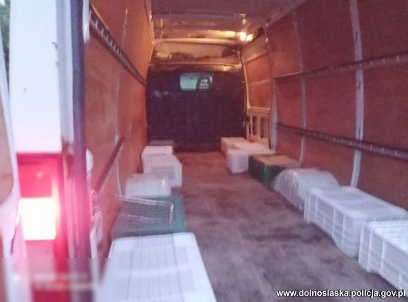 Замість товару – люди: на роботу до Польщі українських заробітчан везли у вантажному бусі без сидінь