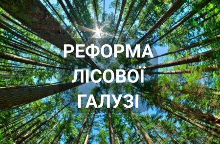 Через реформи у лісовому господарстві на Львівщині можуть ліквідувати низку лісових підприємств
