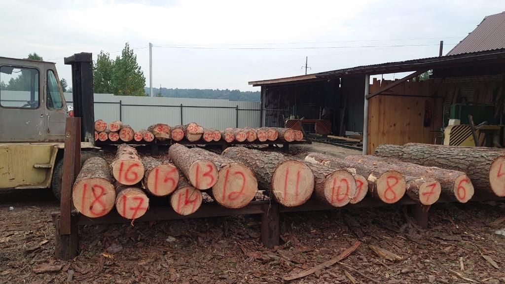 Поліція зайнялася організованою групою, яка незаконно вирубувала деревину в Національному природному парку