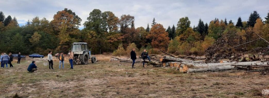 Не тільки львівські: перша громада на Франківщині вирішила контролювати роботу лісгоспів