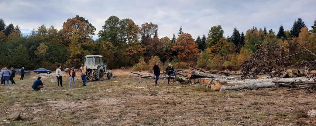 Не тільки львівські: перша громада на Франківщині вирішила контролювати роботу лісгоспів