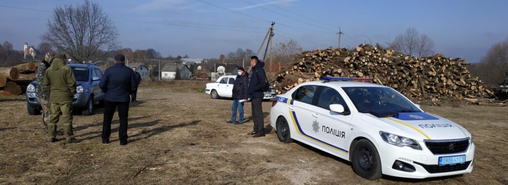 Представник Зеленського не указ: на Львівщині поліція відмовилися оглядати крадений ліс(ФОТО, ВІДЕО)