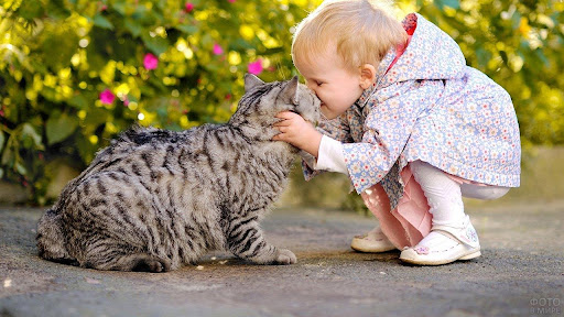 «Підхопити стригучий лишай можна, погладивши тваринку»: як виявити та лікувати небезпечну недугу