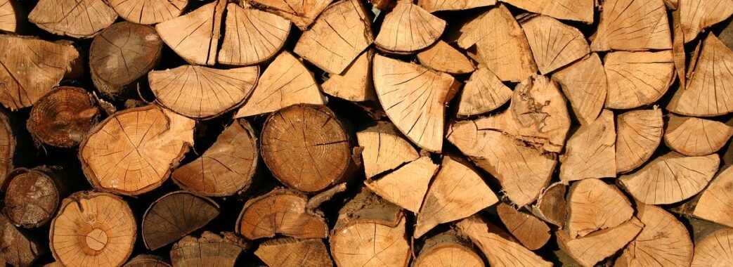 Депутати підтримали законопроєкт про ринок деревини