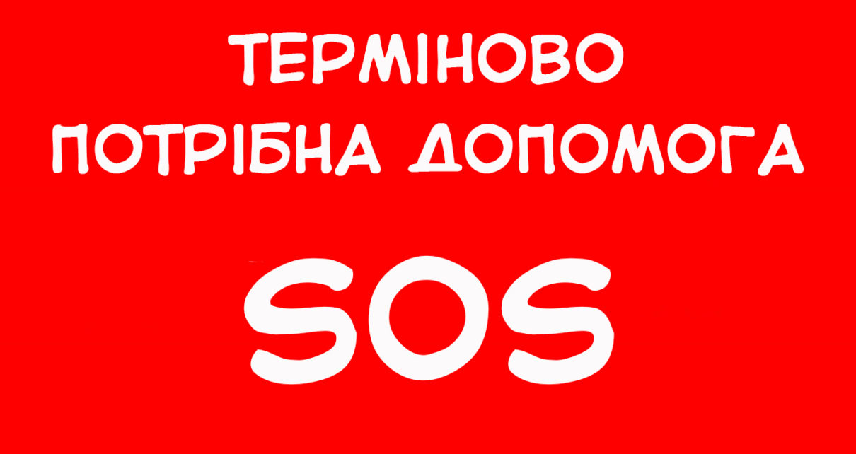 Врятувати маму маленького Лева: у Львові збирають гроші для онкохворої жінки