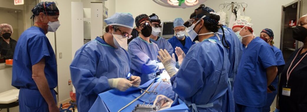 Американські лікарі вперше пересадили людині серце свині