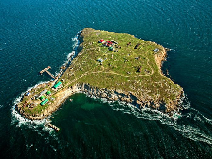 Захисники острова Зміїний живі та перебувають у полоні, – ВМС ЗСУ