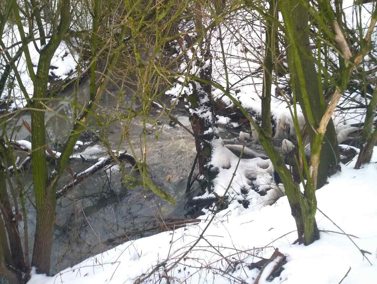 За забруднення річки в Дублянах аграрний університет заплатить штраф