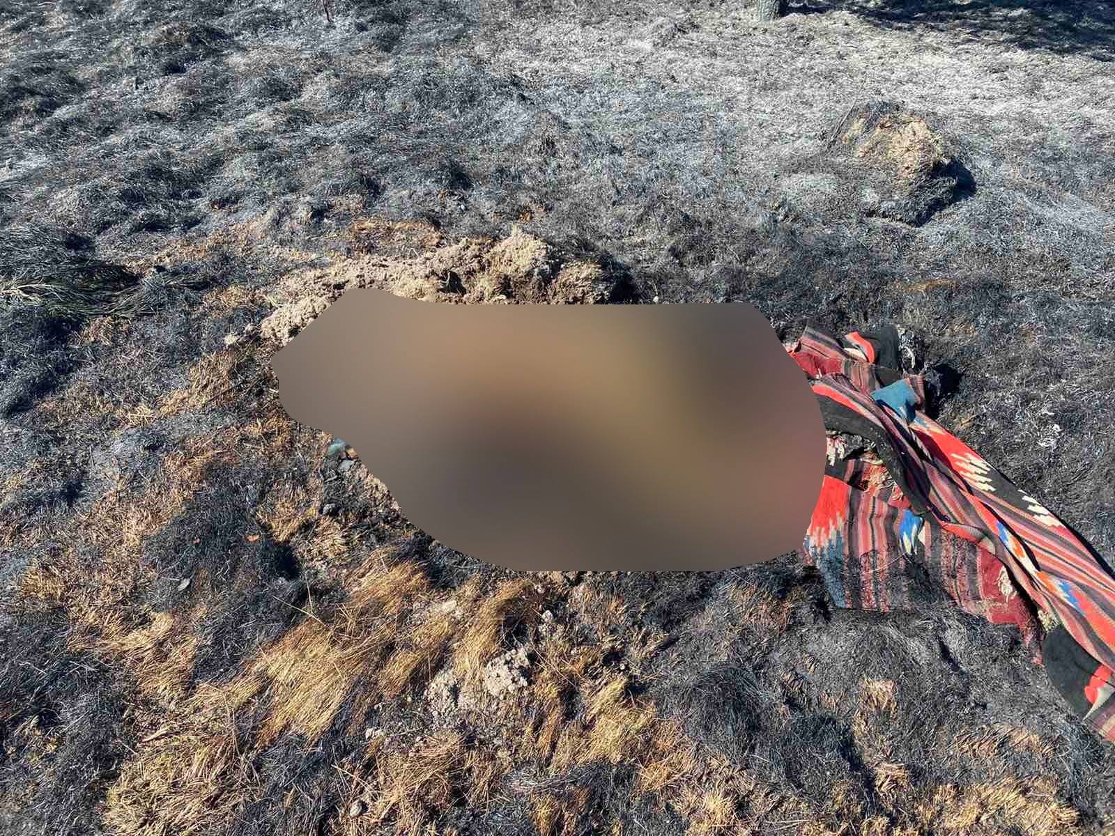На Червоноградщині у згарищі сухої трави знайшли труп жінки