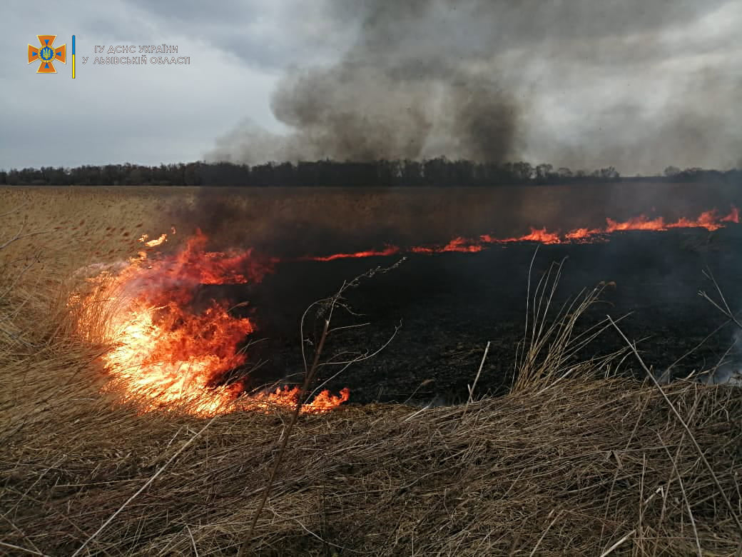 Мешканці Яворівщини та Жовківщини опинились у лікарні через спалювання трави