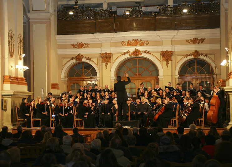 Частина музикантів Луганської філармонії переїхали до Львова